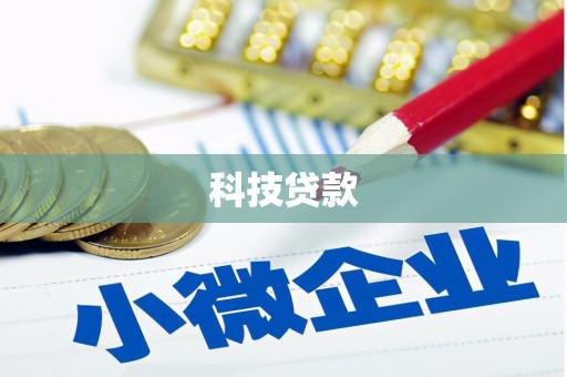原阳科技贷款
