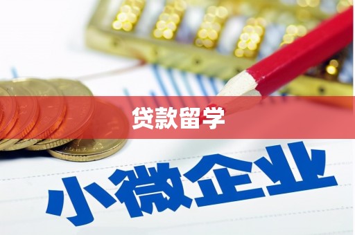 原阳贷款留学