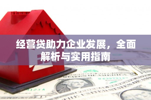 原阳经营贷助力企业发展，全面解析与实用指南