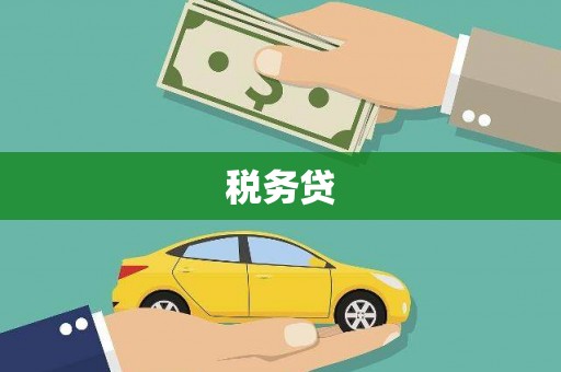 原阳税务贷