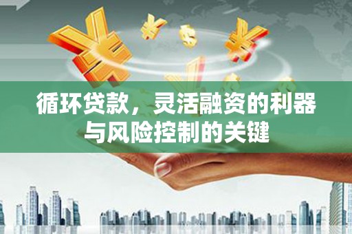 原阳循环贷款，灵活融资的利器与风险控制的关键