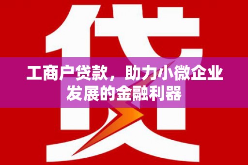 原阳工商户贷款，助力小微企业发展的金融利器