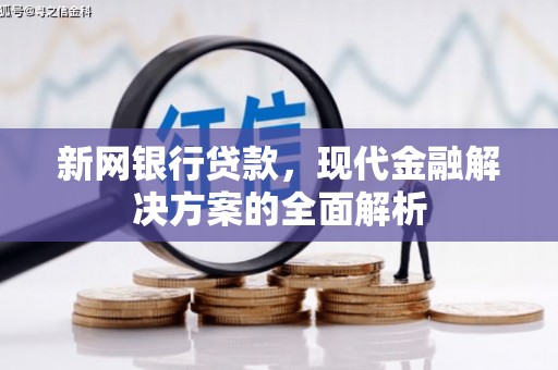 原阳新网银行贷款，现代金融解决方案的全面解析