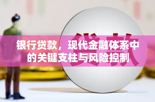 原阳银行贷款，现代金融体系中的关键支柱与风险控制
