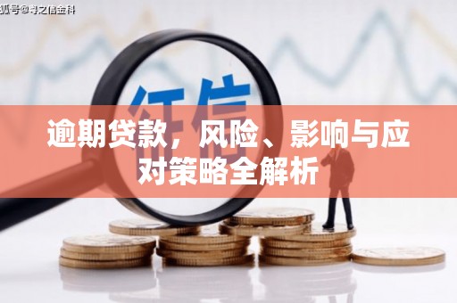 原阳逾期贷款，风险、影响与应对策略全解析