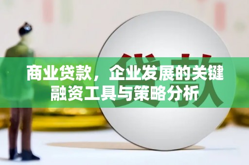 原阳商业贷款，企业发展的关键融资工具与策略分析
