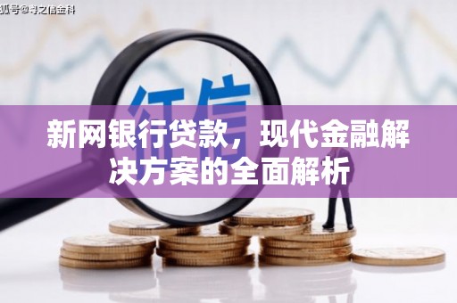 原阳新网银行贷款，现代金融解决方案的全面解析
