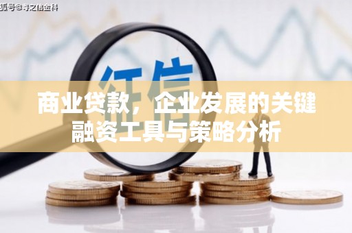 原阳商业贷款，企业发展的关键融资工具与策略分析