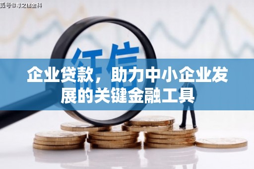 原阳企业贷款，助力中小企业发展的关键金融工具