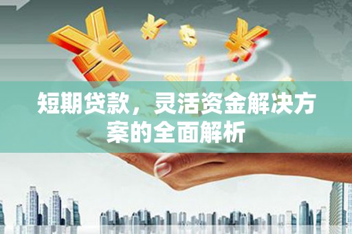原阳短期贷款，灵活资金解决方案的全面解析