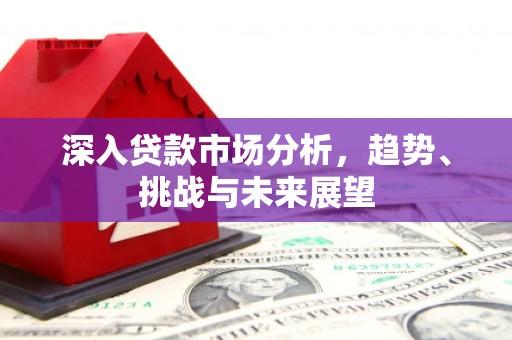 原阳深入贷款市场分析，趋势、挑战与未来展望