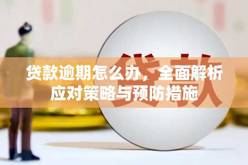 原阳贷款逾期怎么办，全面解析应对策略与预防措施