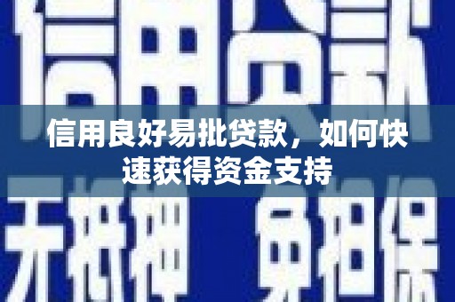 原阳信用良好易批贷款，如何快速获得资金支持