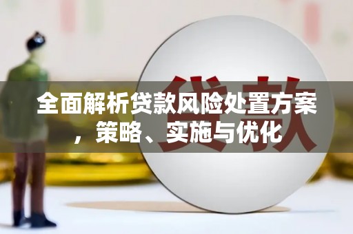 原阳全面解析贷款风险处置方案，策略、实施与优化
