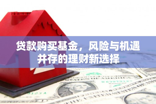 原阳贷款购买基金，风险与机遇并存的理财新选择