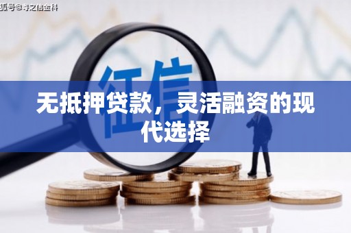 原阳无抵押贷款，灵活融资的现代选择
