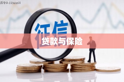 原阳贷款与保险