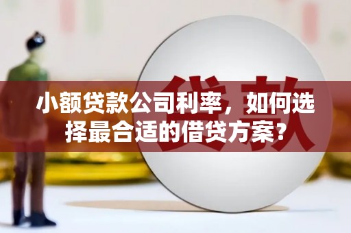 原阳小额贷款公司利率，如何选择最合适的借贷方案？