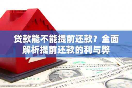 原阳贷款能不能提前还款？全面解析提前还款的利与弊