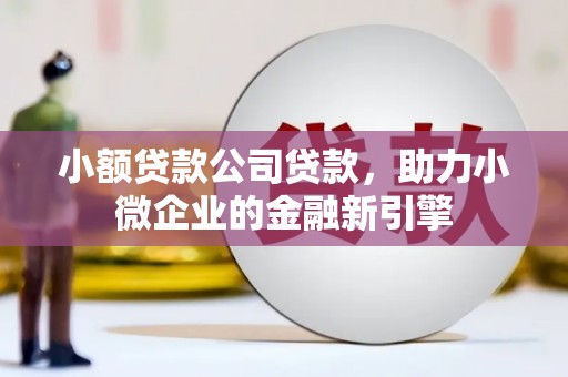 原阳小额贷款公司贷款，助力小微企业的金融新引擎
