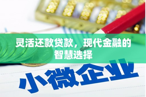 原阳灵活还款贷款，现代金融的智慧选择