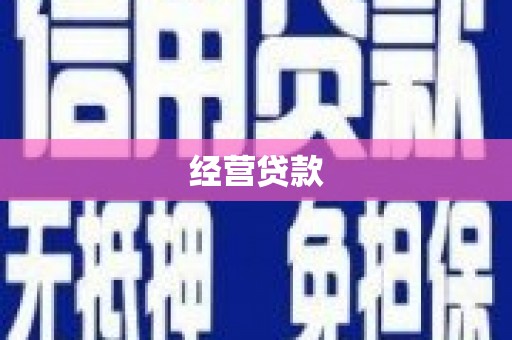原阳经营贷款