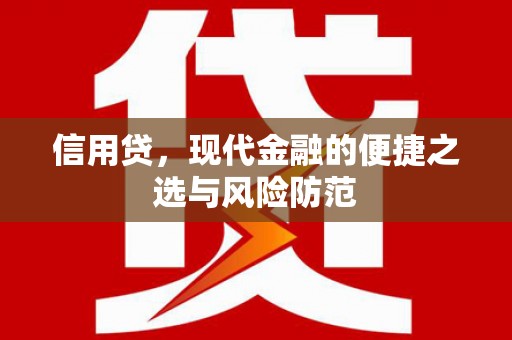 原阳信用贷，现代金融的便捷之选与风险防范