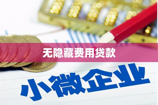原阳无隐藏费用贷款