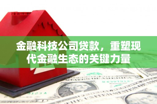 原阳金融科技公司贷款，重塑现代金融生态的关键力量