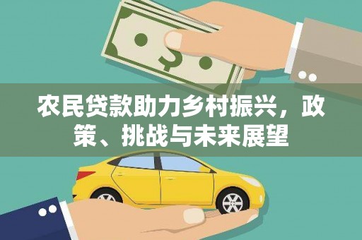 原阳农民贷款助力乡村振兴，政策、挑战与未来展望