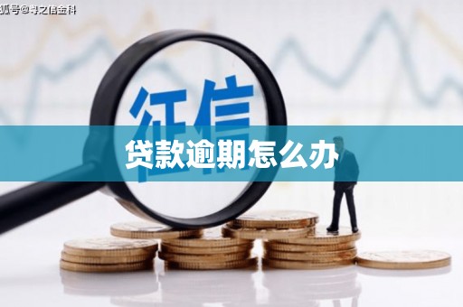 原阳贷款逾期怎么办