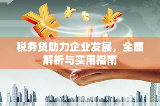 原阳税务贷助力企业发展，全面解析与实用指南