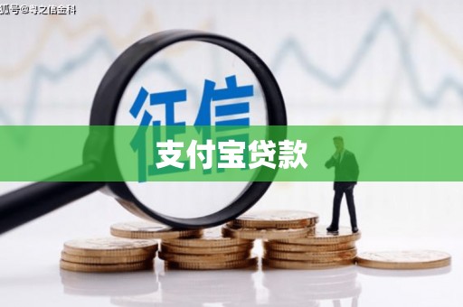 原阳支付宝贷款