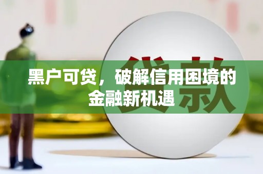 原阳黑户可贷，破解信用困境的金融新机遇
