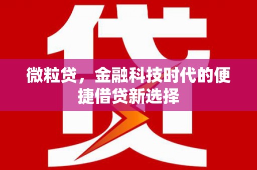 原阳微粒贷，金融科技时代的便捷借贷新选择