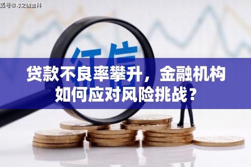 原阳贷款不良率攀升，金融机构如何应对风险挑战？