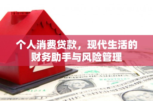 原阳个人消费贷款，现代生活的财务助手与风险管理
