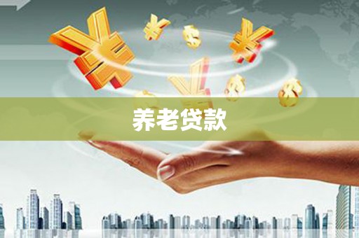 原阳养老贷款