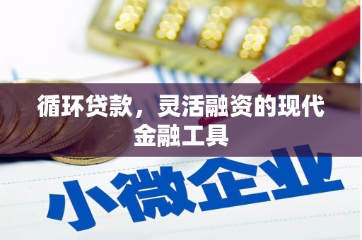 原阳循环贷款，灵活融资的现代金融工具