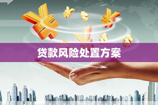原阳贷款风险处置方案